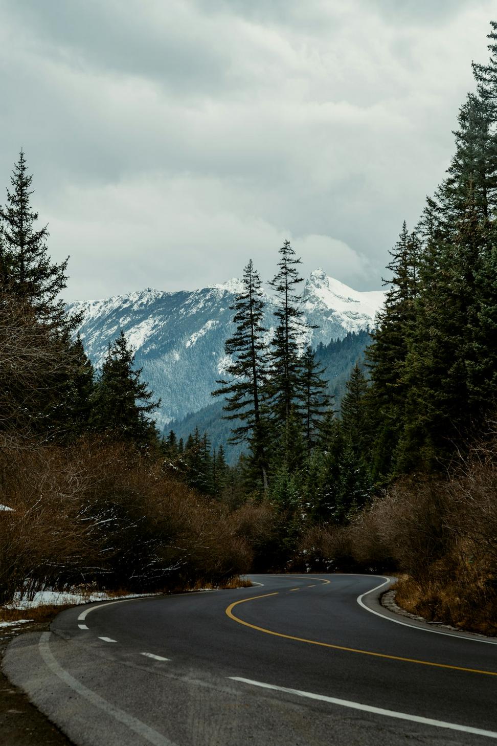 Mountain Vista Drive