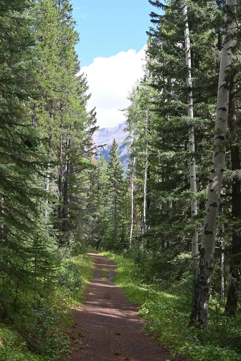 Mountain Adventures